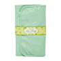 LIME PARTY 24PC BRUSH SET