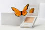 Load image into Gallery viewer, JENNI RIVERA QUEEN HIGHLIGHTER
