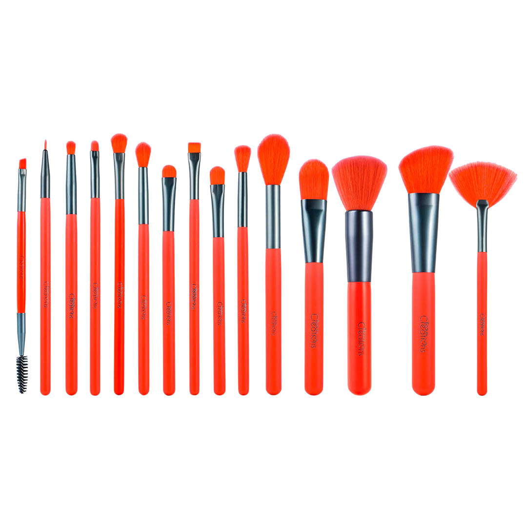 BOSSY 15 PC BRUSH SET