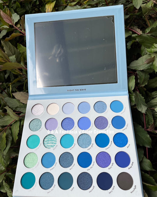 PRO21 RIGHT THE WAVE Eye Palette